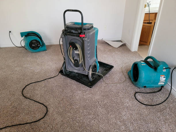Best Professional water damage repair  in Chandler, OK