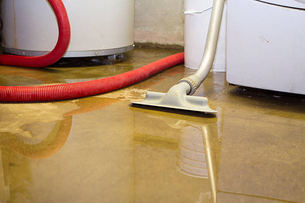 Best Basement water damage restoration  in Chandler, OK