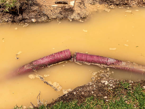 Best 24/7 water damage repair  in Chandler, OK