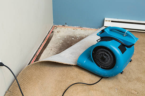 Best Water damage restoration near me  in Chandler, OK